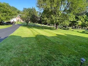 Julie F.'s Lawn Maintenance service result