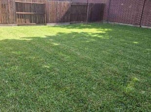 Caleb G.'s Lawn Service service result