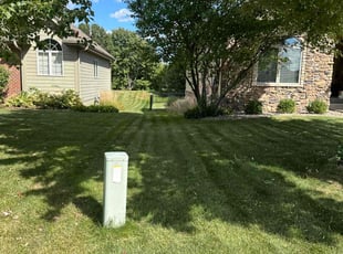 Anuj U.'s Lawn Mowing service result