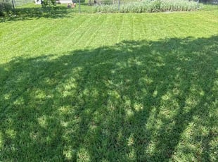 Tim F.'s Yard Cutting service result