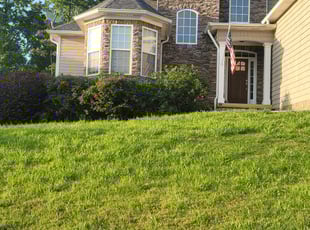 Bush Trimming by Nathan Christiansen for Judy I. in Ooltewah, TN