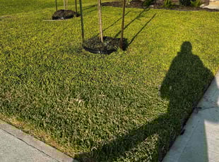 Gwendolyn J.'s Lawn Mowing Service service result