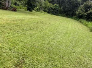Barry G.'s Lawn Mowing service result