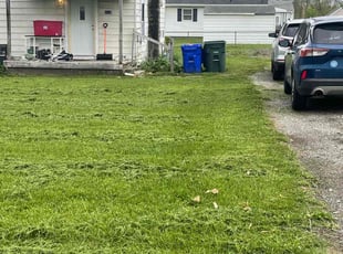 Erik P.'s Lawn Mowing service result