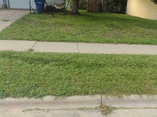 Randy B.'s Lawn Care service result