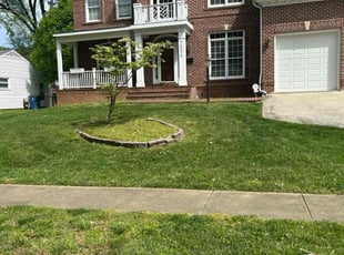 Tariq A.'s Lawn Mowing Service service result