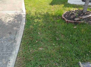 Dave T.'s Lawn Care service result