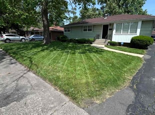 Ariel F.'s Lawn Mowing service result