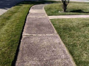 Kathy C.'s Lawn Service service result