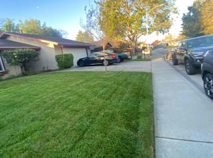 Teresa T.'s Lawn Care service result