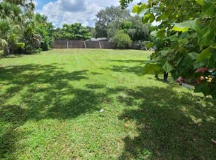 Lisa R.'s Yard Cutting service result