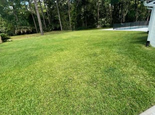 Kimberly A.'s Lawn Service service result