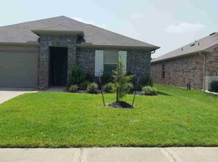 Willem S.'s Yard Cutting service result