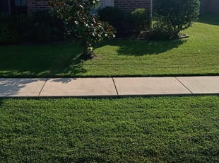 Bush Trimming by Gerald Helmke for Rita C. in Covington, LA