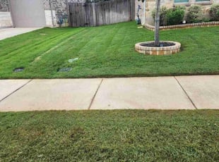 Leon Felipe S.'s Lawn Service service result