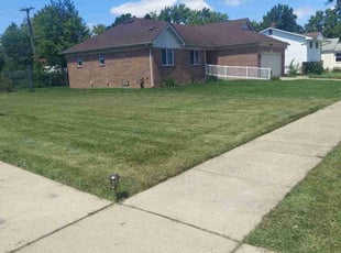 Michaela B.'s Lawn Mowing service result