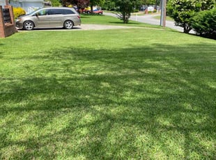 Julie M.'s Grass Cutting service result