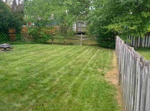 Laura S.'s Lawn Mowing service result