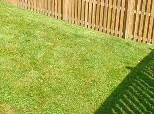 Tanner C.'s Lawn Care service result
