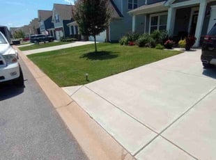 Lori G.'s Lawn Mowing Service service result