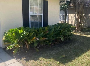 Bush Trimming by Devin Jones for Catherine S. in Jacksonville, FL