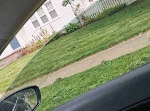 Weeding by Peter Conley for Lauren R. in Cuyahoga Falls, OH