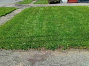 Jesus R.'s Lawn Mowing Service service result