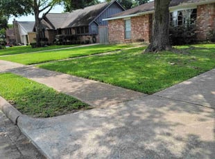 Farhana G.'s Lawn Mowing service result