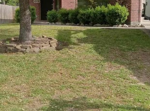 Jason C.'s Grass Cutting service result