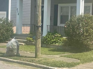 Bush Trimming by James Mozelle for Felix H. in Hampton, VA