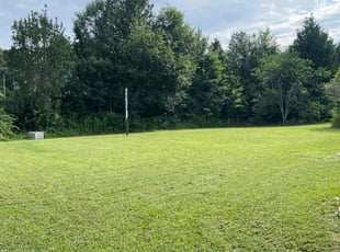 Michelle L.'s Lawn Mowing service result