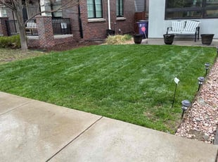 Joe N.'s Lawn Care service result