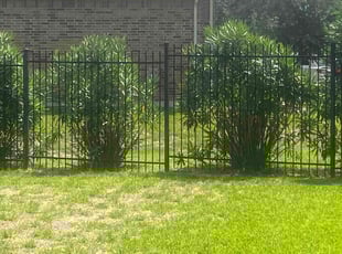 Bush Trimming by Austin Farley for Sharon P. in Spring, TX