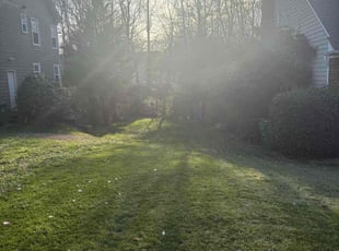 Donna M.'s Lawn Care service result