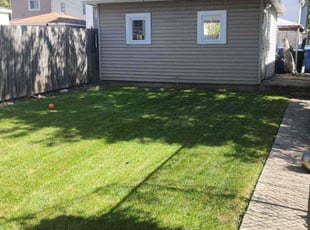 Clinton I.'s Lawn Service service result