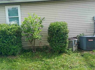 Bush Trimming by Jason Skeens for Bryan C. in Grove City, OH