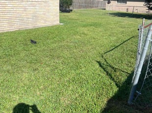 Courtney O.'s Lawn Care service result