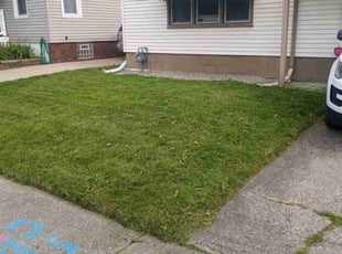 Raymond P.'s Grass Cutting service result