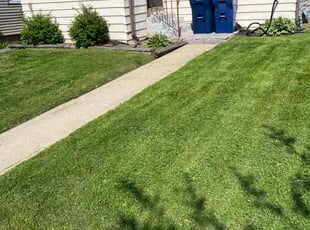 Aranita T.'s Grass Cutting service result