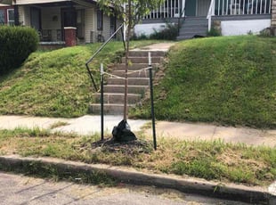 Bush Trimming by Daquan Vincent for Steven G. in Kansas City, MO