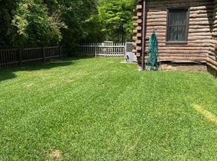 Marie F.'s Grass Cutting service result