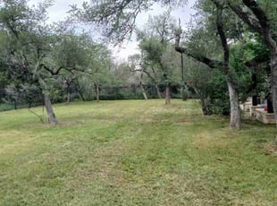 Daniel T.'s Lawn Service service result