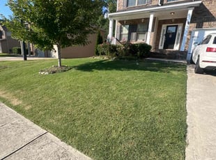 Michelle B.'s Lawn Care service result
