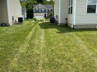 Lamar P.'s Lawn Care service result