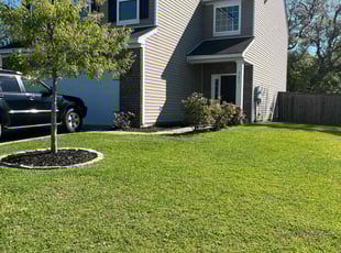 David O.'s Lawn Mowing service result