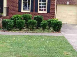 Bush Trimming by Curtis Gathercole for Marelle W. in Powder Springs, GA