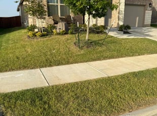 Christopher D.'s Lawn Mowing service result