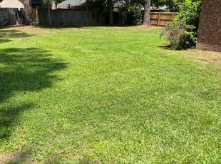 Suzy B.'s Lawn Care service result