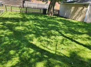 Lorrie C.'s Lawn Mowing service result