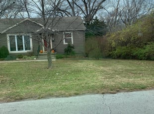 Leaf Removal by James Rosa for Ayslin C. in Kansas City, MO